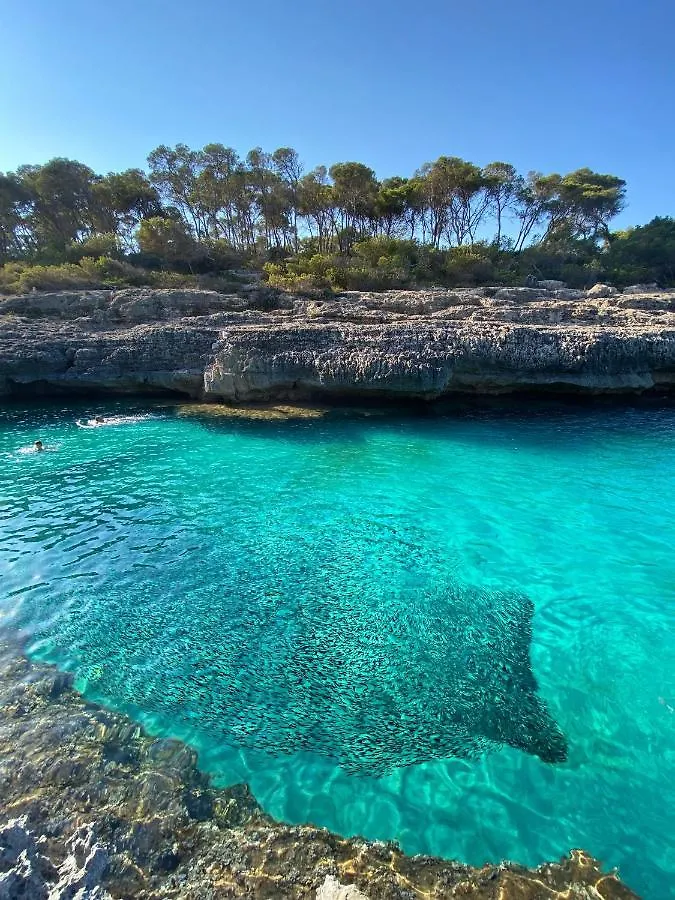 Can Yuca II Cala Mondrago  Lägenhet Cala Mondrago (Mallorca)